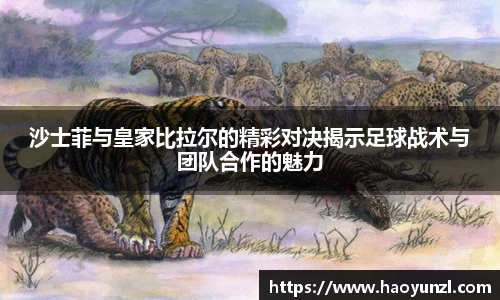 沙士菲与皇家比拉尔的精彩对决揭示足球战术与团队合作的魅力